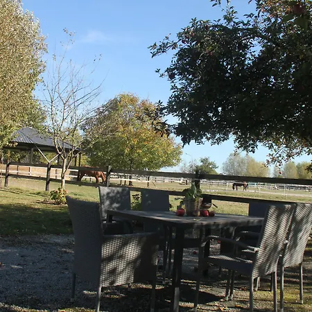 Apartmán Luisenhof Krefeld