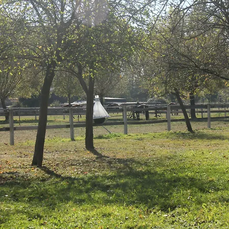 Luisenhof Apartmán Krefeld