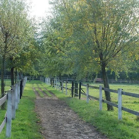 Luisenhof Apartmán Krefeld