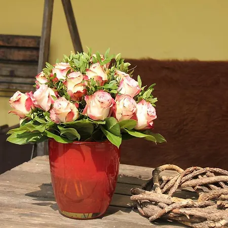 Apartmán Luisenhof Krefeld