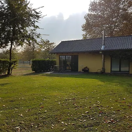 Apartment Luisenhof *