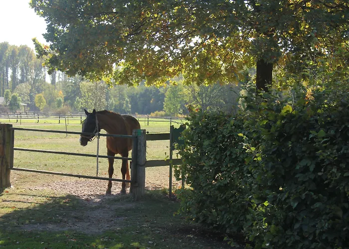 Luisenhof アパート *