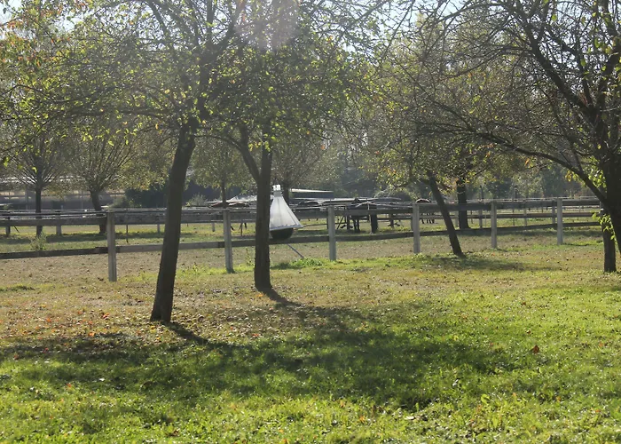 Luisenhof Apartman Krefeld