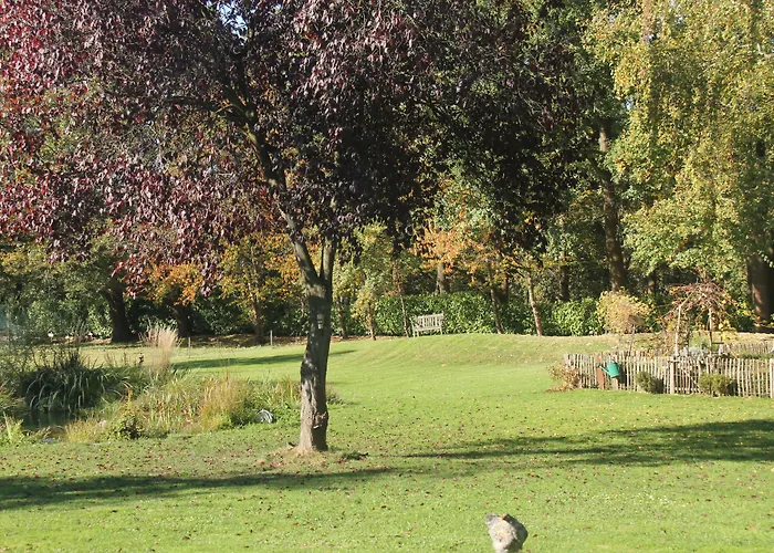 Luisenhof アパート クレーフェルト