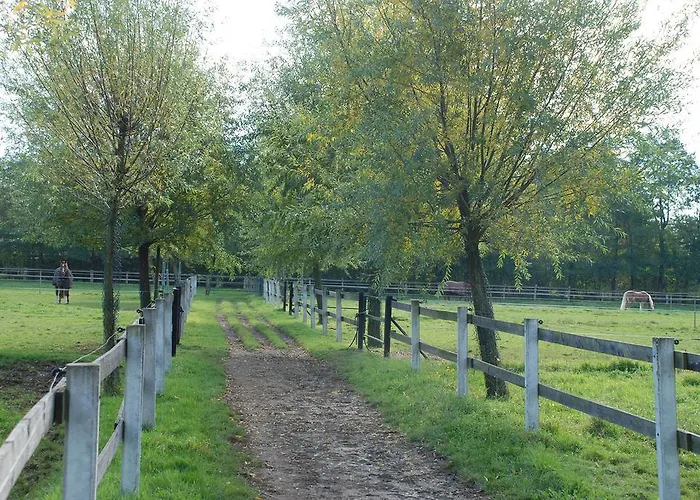 Luisenhof アパート クレーフェルト