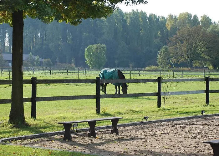 アパート Luisenhof