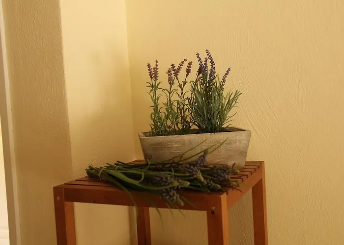 Apartman Luisenhof Krefeld