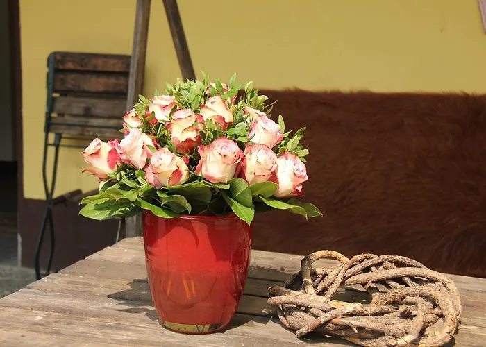 アパート Luisenhof クレーフェルト