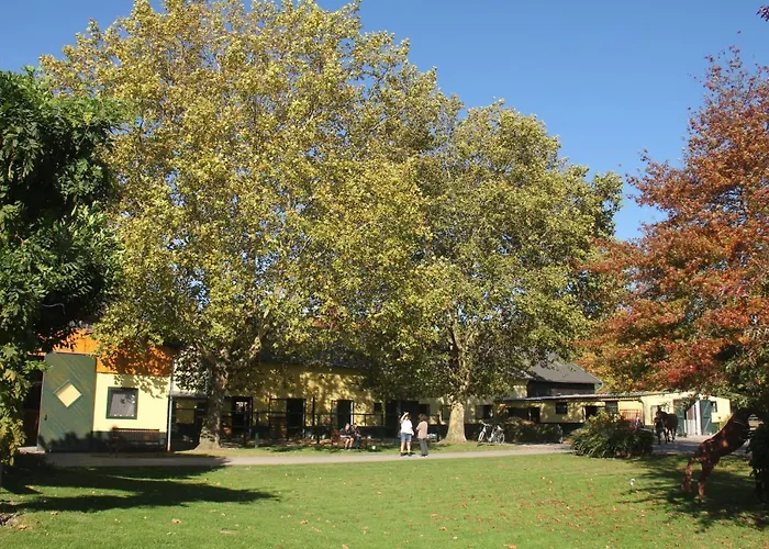 Luisenhof アパート *